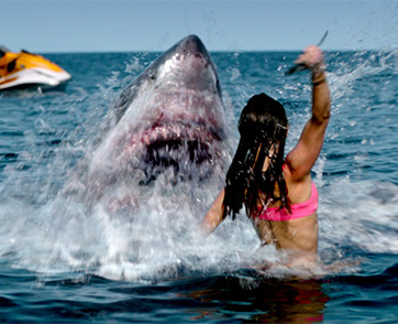 “เปิดลิสต์ 5 ชายหาดฉลามโคตรโหดจากภาพยนตร์ฮิต” ก่อนเจอกับนักล่าใต้ทะเลใน “Shark Bait ฉลามคลั่งซัมเมอร์นรก”